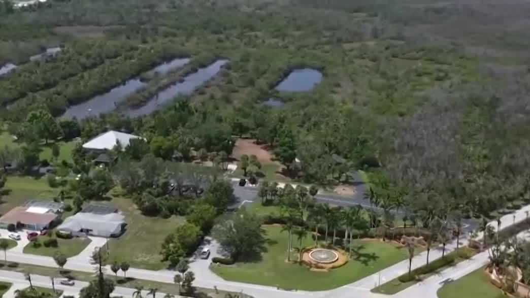 Cape Coral residents concerned over wetland project review