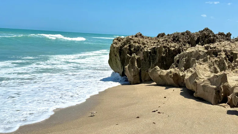 A beach in Stuart, Florida