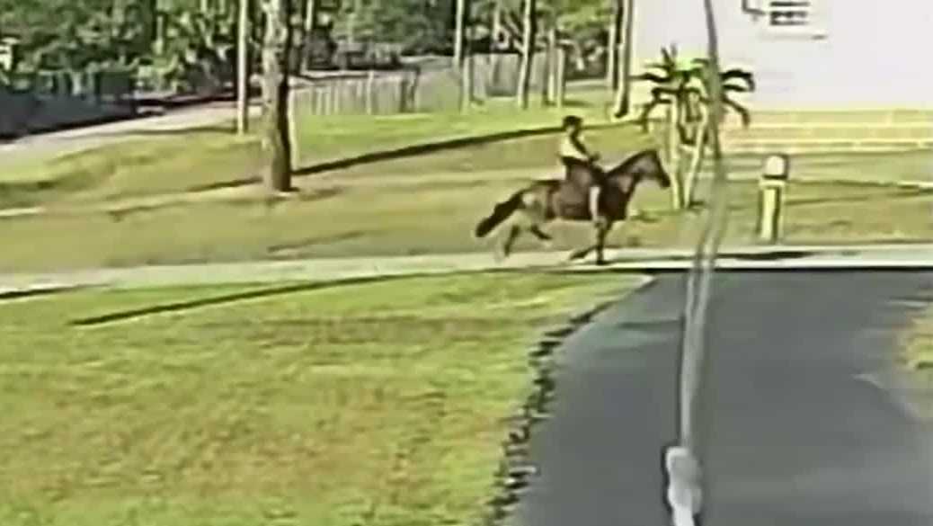 Horseback rider knocks down mailbox in unusual hit-and-run in Florida
