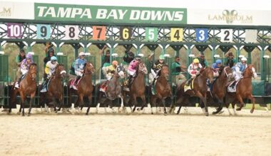 EHV-1 Positive Has Two Barns Quarantined at Tampa Bay
