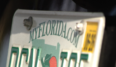 New Florida license plate law: What's OK and not OK?