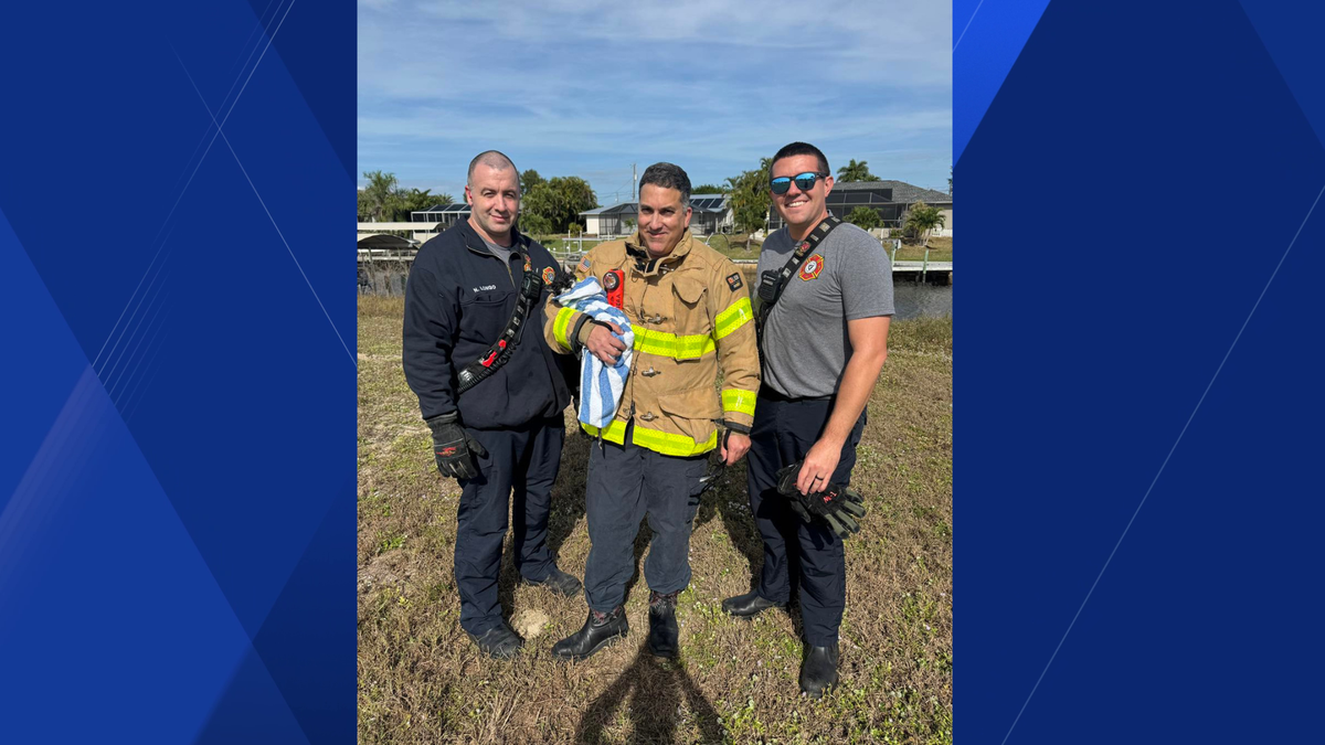 Cape Coral firefighters rescue cat from canal
