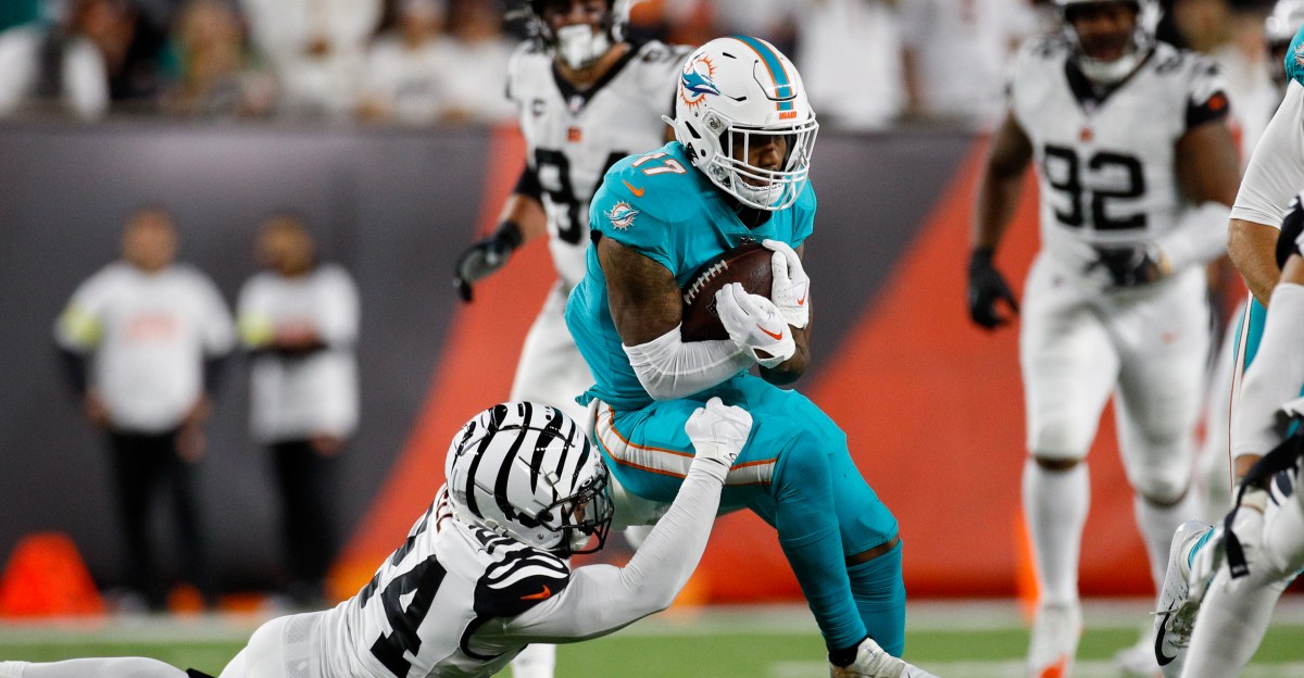 Miami Dolphins News - Previewing Bengals/Dolphins matchup