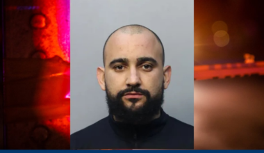 Florida Man Steals 400lbs of Avocados for Children's Christmas Presents