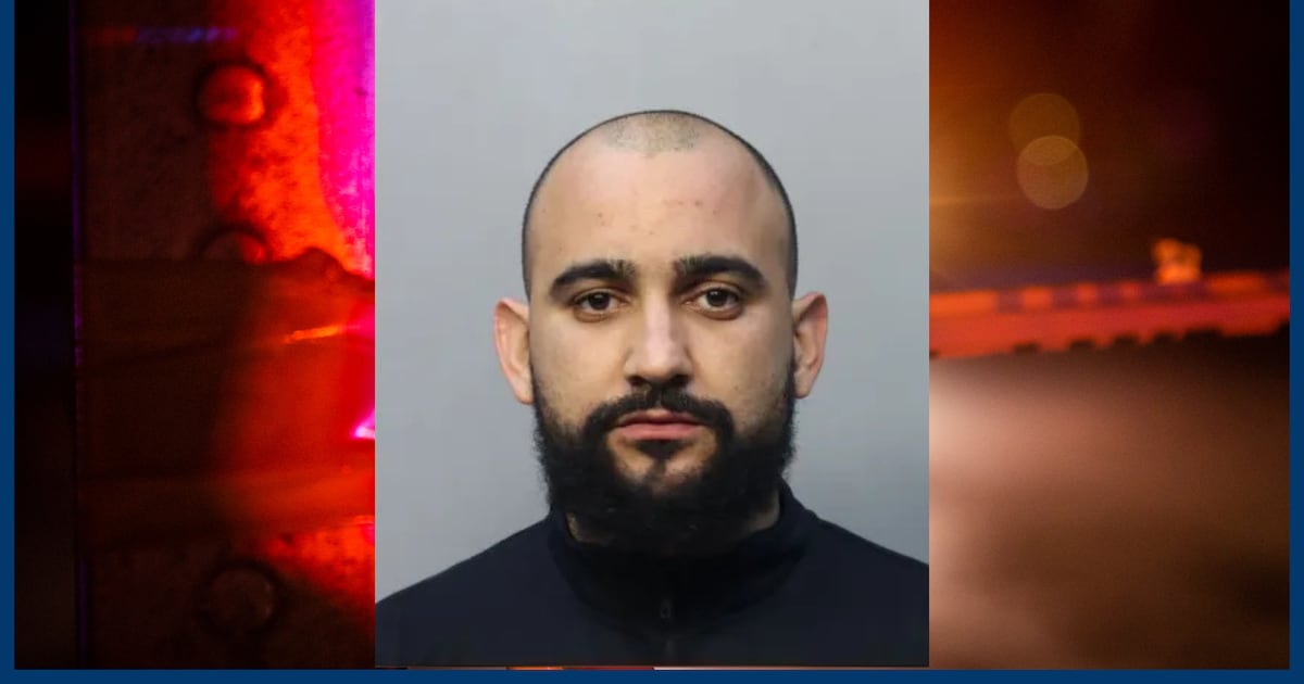 Florida Man Steals 400lbs of Avocados for Children's Christmas Presents