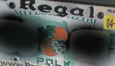 Most License Plate Frames Now Illegal in Florida