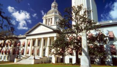 Florida lawmakers divided over new abortion bills – WFTV