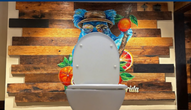 Florida Man Sues Outback Steakhouse After Toilet Explodes Under Him