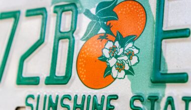 Department of Highway Safety & Motor Vehicles gives clarification – Action News Jax