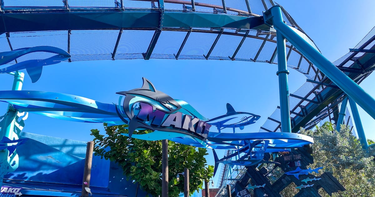 Duck did not hit a woman riding a SeaWorld roller coaster — but another bird did – WFTV