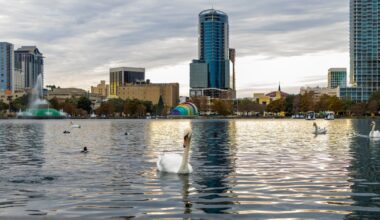 Lake Eola Volunteers Accuse Orlando City of Bird Flu Cover-Up