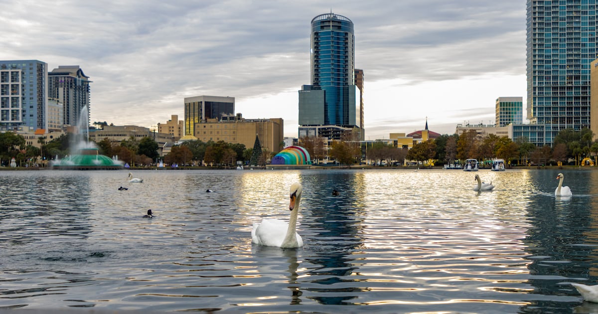 Lake Eola Volunteers Accuse Orlando City of Bird Flu Cover-Up
