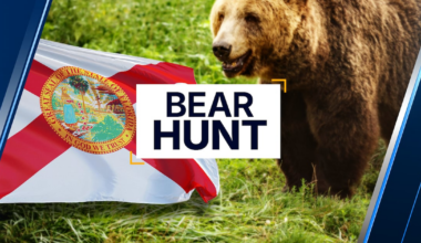 10 days in, Florida FWC has not released bear hunt statistics – Action News Jax
