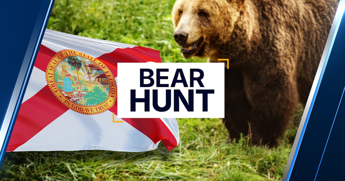 10 days in, Florida FWC has not released bear hunt statistics – Action News Jax