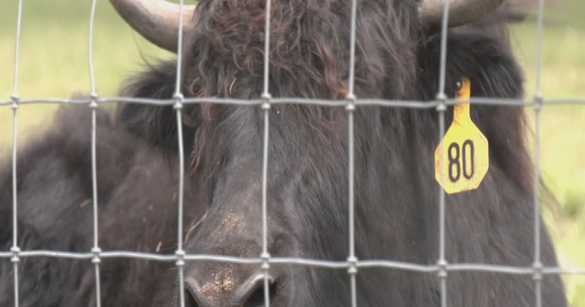 Florida lawmakers hope new plan will help spark ‘Rural Renaissance’ – WFTV