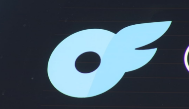 Orlando leads the world in spending on adult website – WDBO