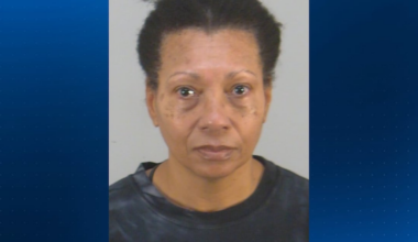 Judge to permit lawyer leave from Orlando airport animal abuse case