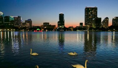 Orlando's iconic swans at Lake Eola die suddenly, bird flu suspected