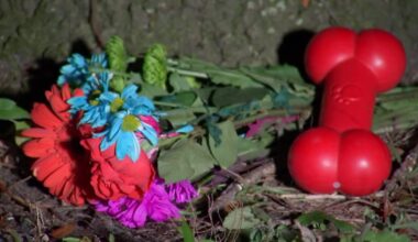 Young pit bull found shot and tied to tree in Duval County – Action News Jax