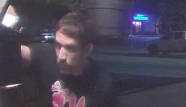 Deputies seek Lauderdale-by-the-Sea porch pirate