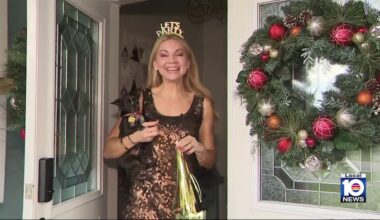 How to help pets get through NYE fireworks