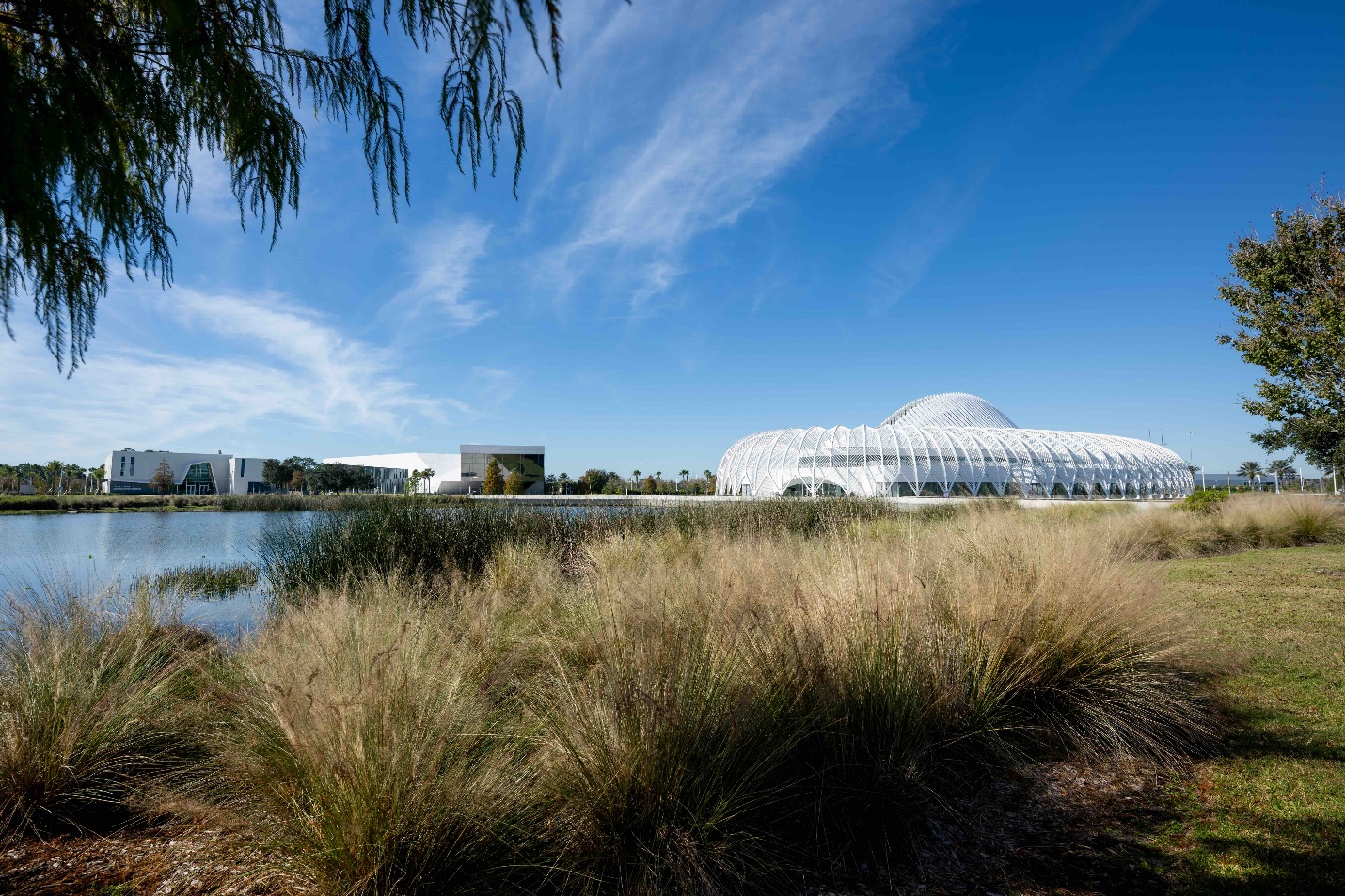 Florida Poly tops state in computer science, with data science program in top 20 nationally