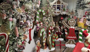 Florida man creates Christmas magic with AI-powered holiday home displays