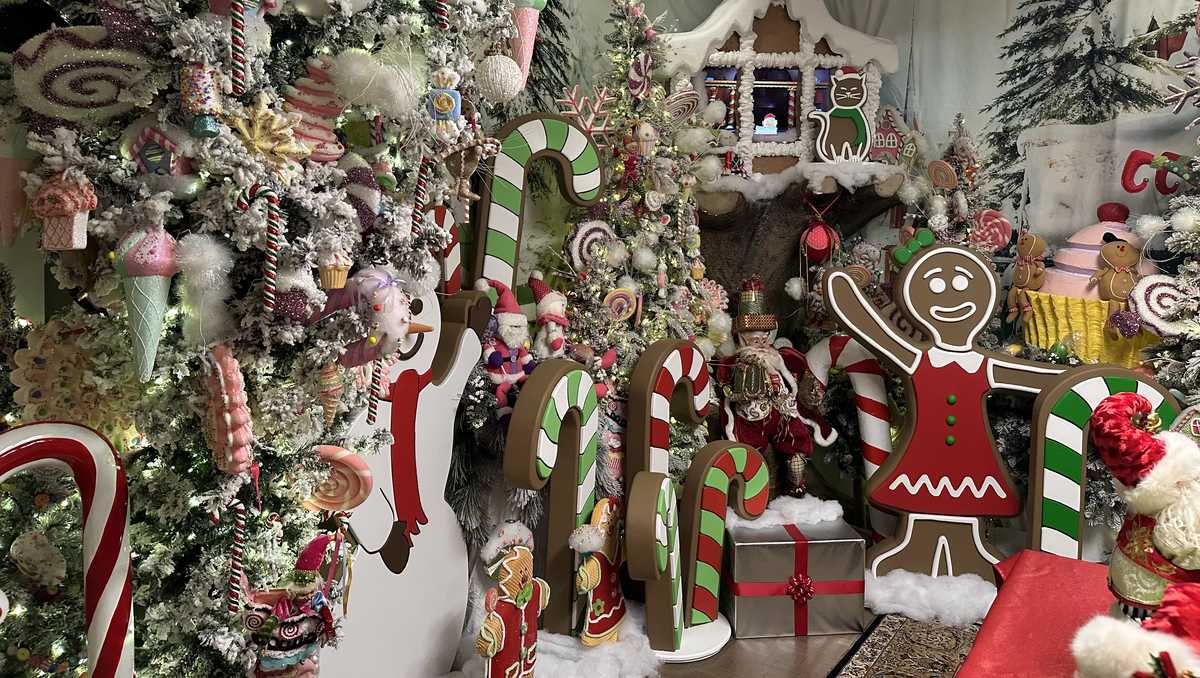 Florida man creates Christmas magic with AI-powered holiday home displays