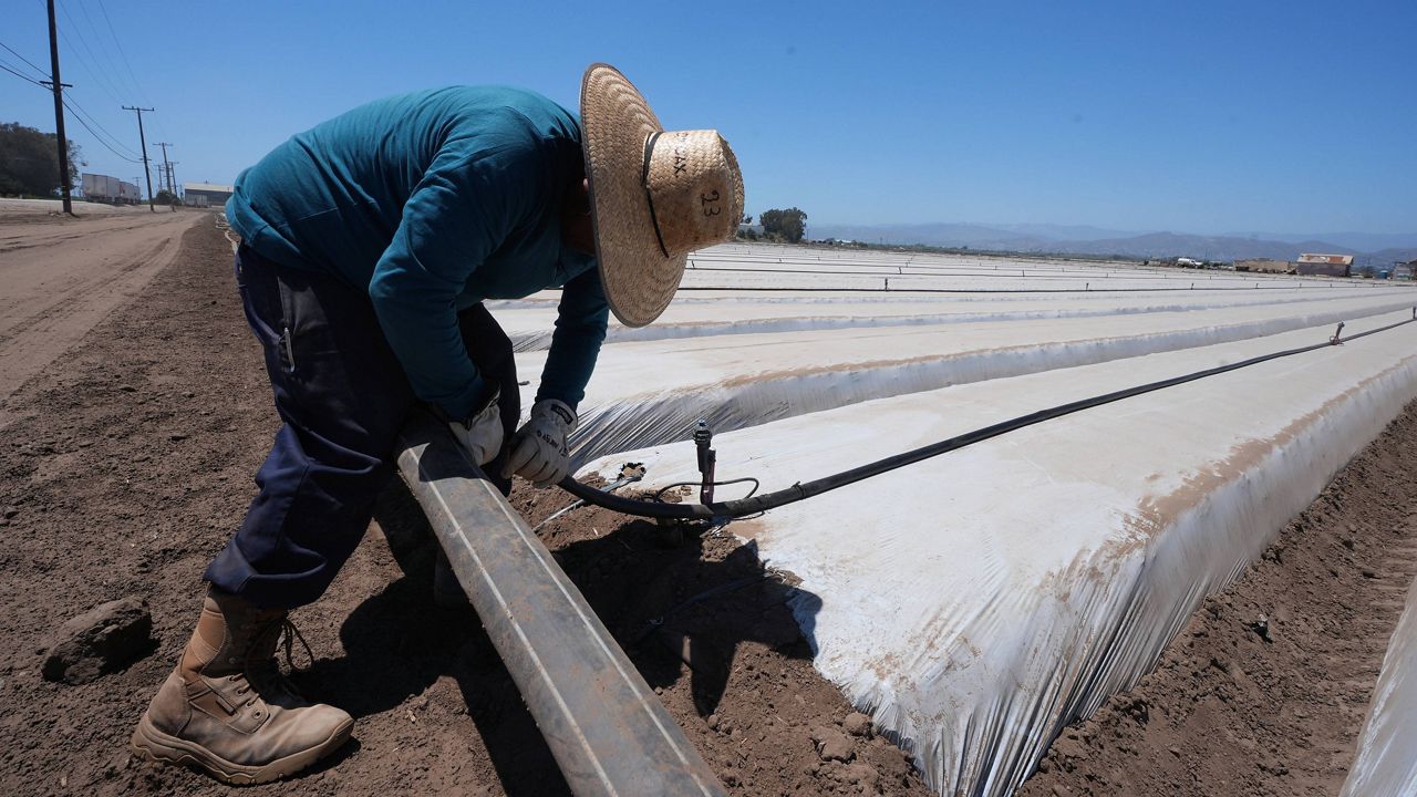 Florida House advances proposal to mandate E-Verify