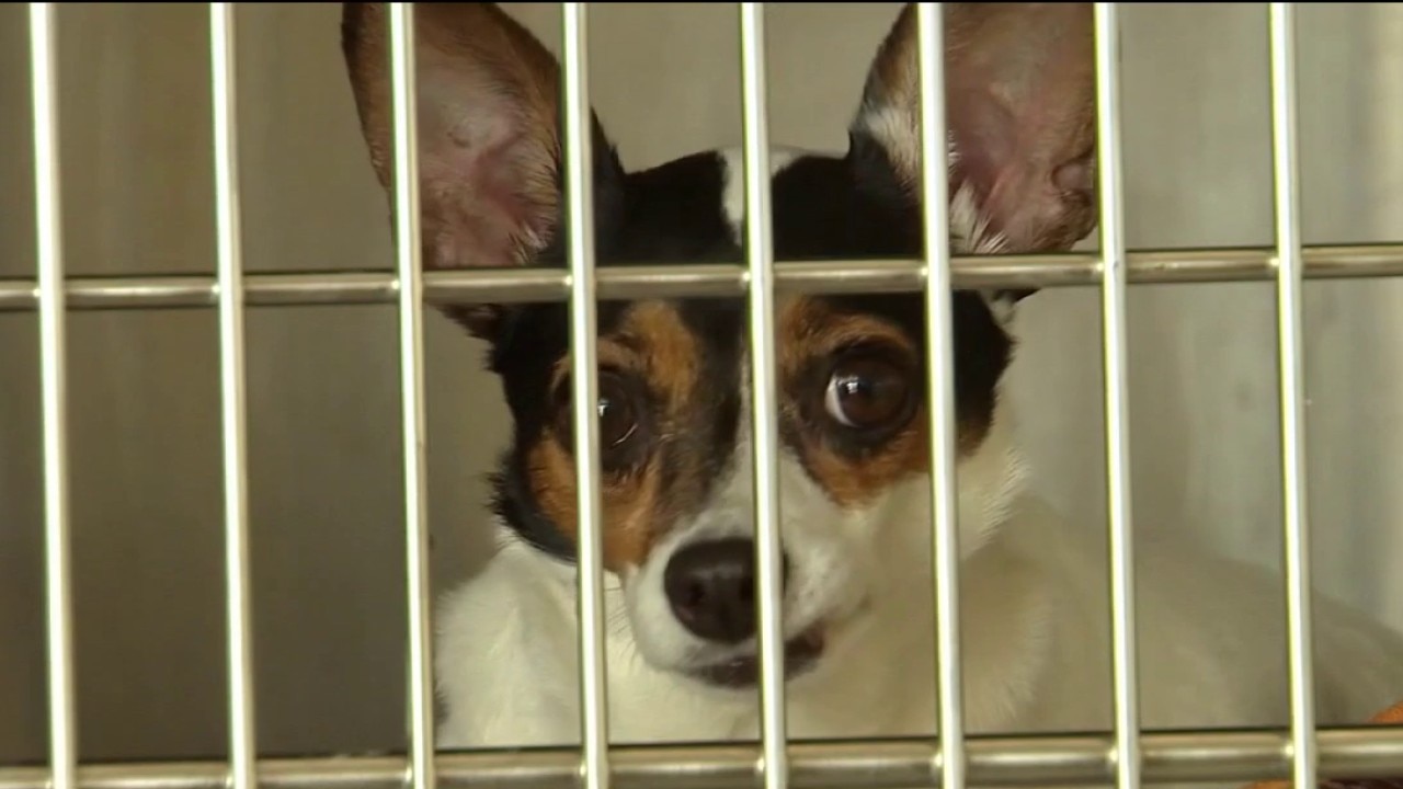 New Florida laws in 2026