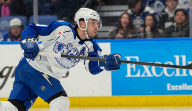 MINNESOTA WILD ACQUIRES FORWARD BORIS KATCHOUK