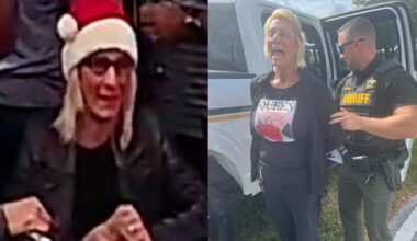 Florida woman in Santa hat caught on camera stealing toys from donation box: MCSO