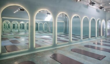 photo of a room with domed mirrors and domed mats on the ground