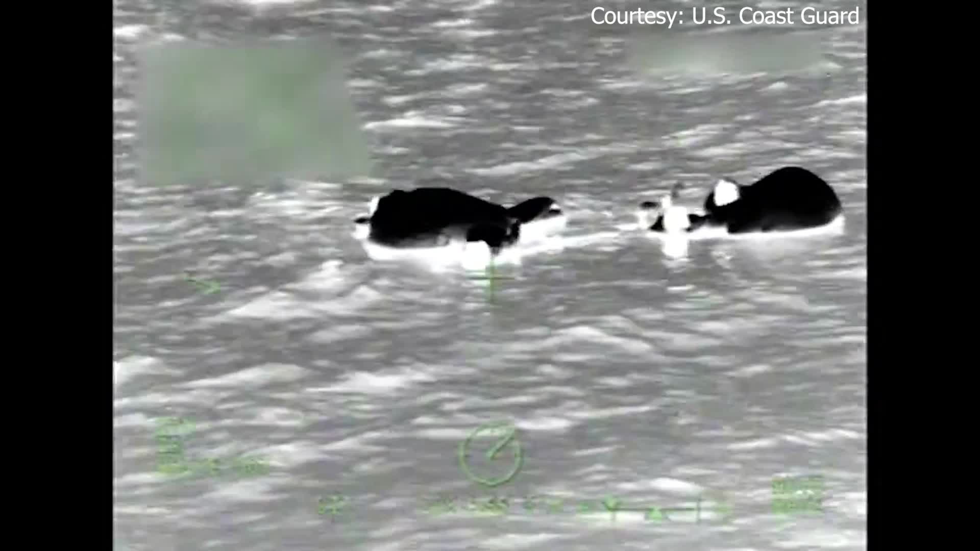 5 rescued after boat sinks off Florida coast