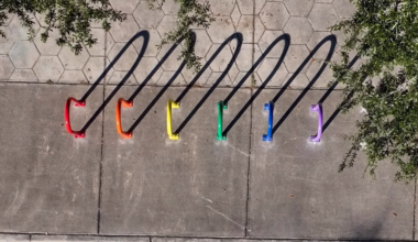 After being forced to remove rainbow crosswalks, St. Pete installs pride-themed bike racks
