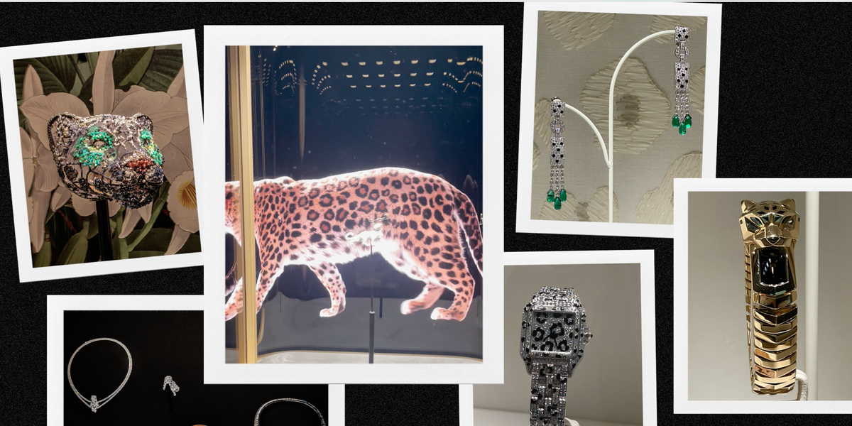 Cartier Invites Guests Into the Wild at Art Basel in Miami