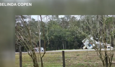 Ohio 5-year-old, newborn baby killed in RV crash in Florida; 12 others hospitalized