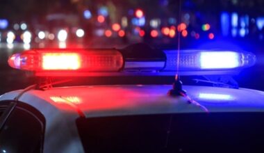 Girl Dismembered | Street Murals Targeted | Jannus Live Owner Sued In Ferry Crash: Top St. Pete News 2025