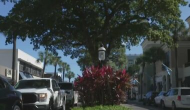 Fort Lauderdale's tree-lined Las Olas Boulevard's days may be numbered