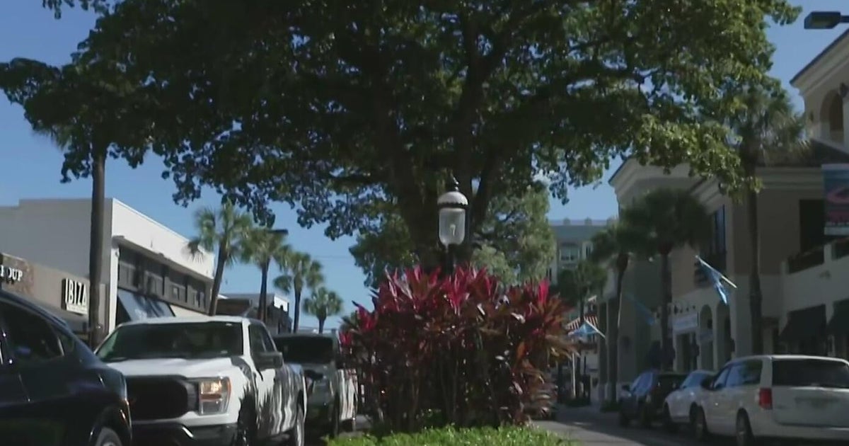 Fort Lauderdale's tree-lined Las Olas Boulevard's days may be numbered