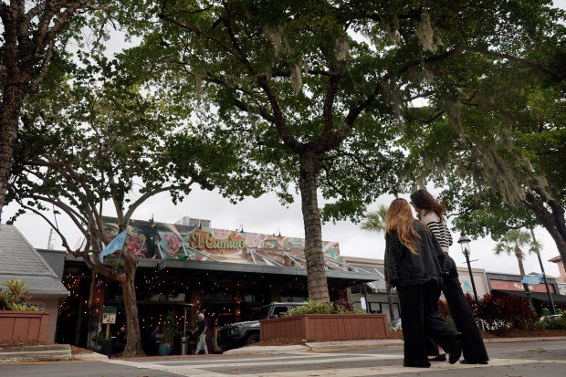Mayor Dean Trantalis suggested a possible compromise last year to save the famous tree-lined median along Las Olas, shown here on Monday. (Amy Beth Bennett/South Florida Sun Sentinel) 