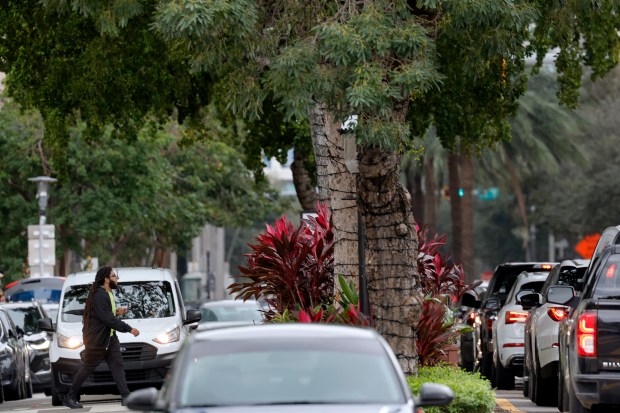 On Monday, a tree-lined median separates oncoming traffic on Las Olas Boulevard in Fort Lauderdale. That median might go away under a dramatic redesign to make room for wider sidewalks and outdoor cafes. (Amy Beth Bennett/South Florida Sun Sentinel)