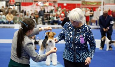 AKC National Championship in Orlando