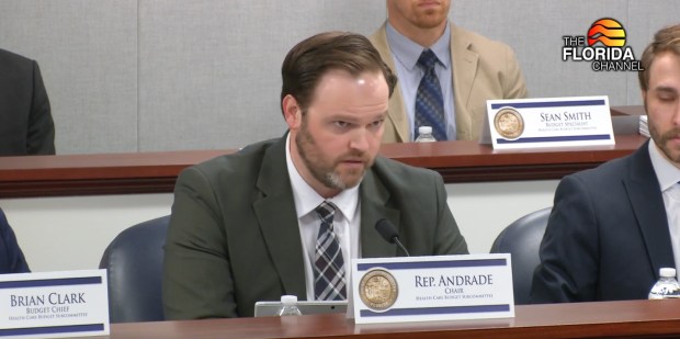 Rep. Alex Andrade speaks about Hope Florida at the House Health Care Budget subcommittee in Tallahassee on Thursday, April 24, 2025.