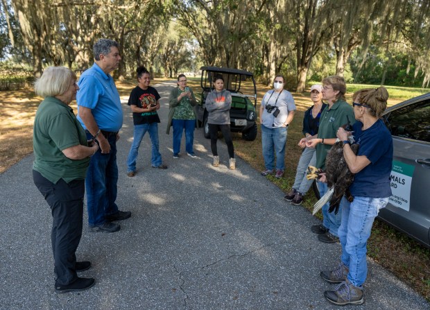 At the release site on private property in Lake County, members of the Audubon team and volunteers go over details about the plan for the bald eagle's release. This area was considered safe for a release because there were no active bald eagle nests nearby. (Courtesy Tim Barker)