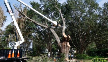 Orlando officials say tree count is good investment, despite DOGE criticisms – Orlando Sentinel