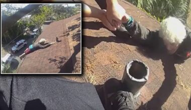 Tampa first responders rescue 86-year-old man blowing leaves off roof