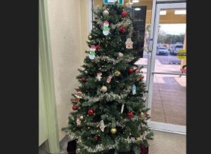 Lee County’s Gift Giving Tree is Up - Beach Talk Radio News