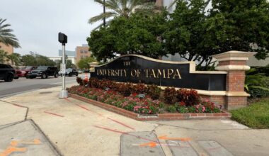 Soon-to-be-grads compete with AI for entry-level jobs