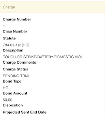 Screengrabs of Carel Pedre’s arrest, including his booking photo. Broward Sheriff's Office.